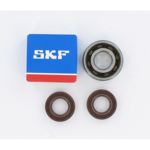 Kit roulements moteur 6204 C4 TN9 polyamide SKF - Derbi 