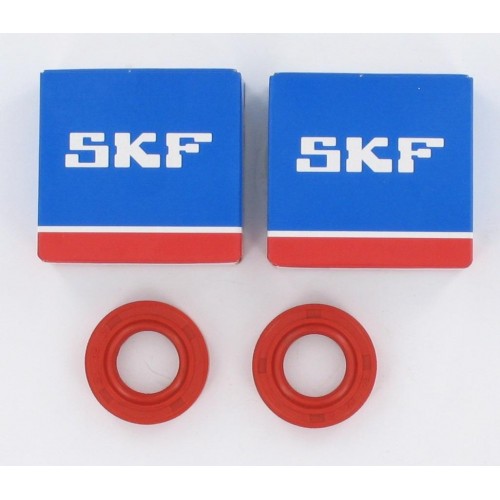 Kit roulements moteur 6204 C4 SKF Spi Racing - Derbi