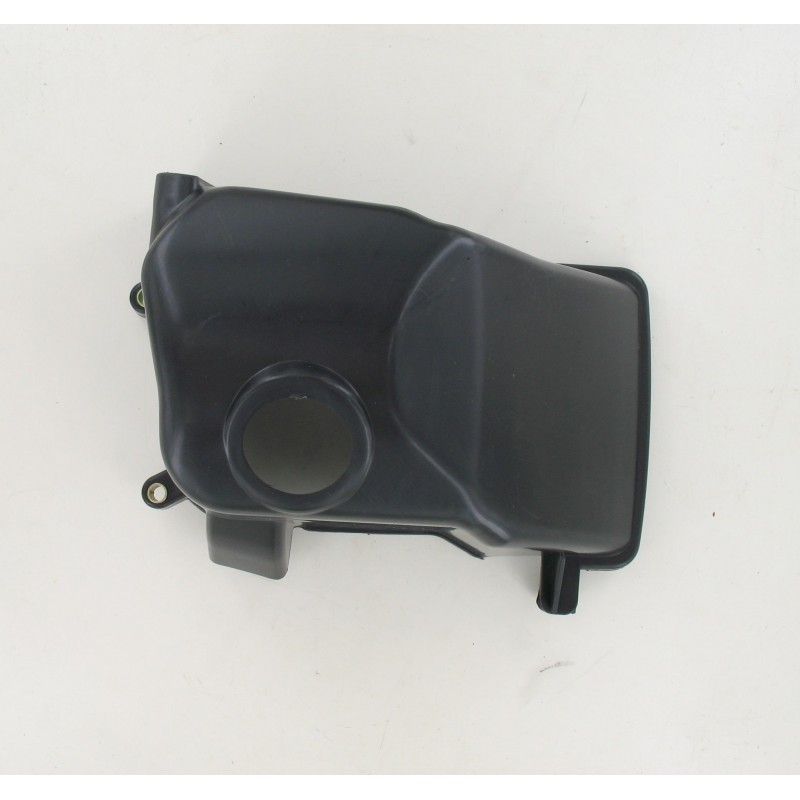 Cache / Coiffe cylindre Peugeot Ludix Kisbee