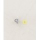 Vis Ø5x10 + rondelle de carter crème MBK Motobecane 51 88 chromé (V2)