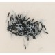 Sachet de 100 rivets plaque immatriculation 4x16 noir