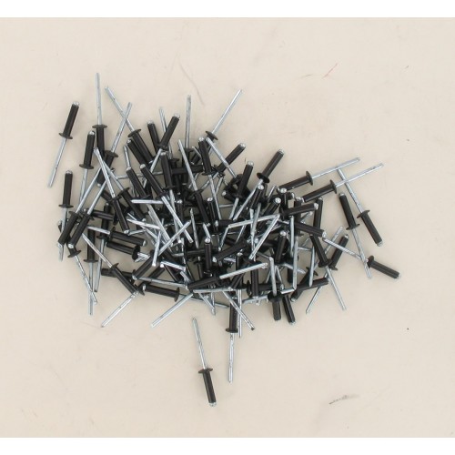 Sachet de 100 rivets plaque immatriculation 4x16 noir